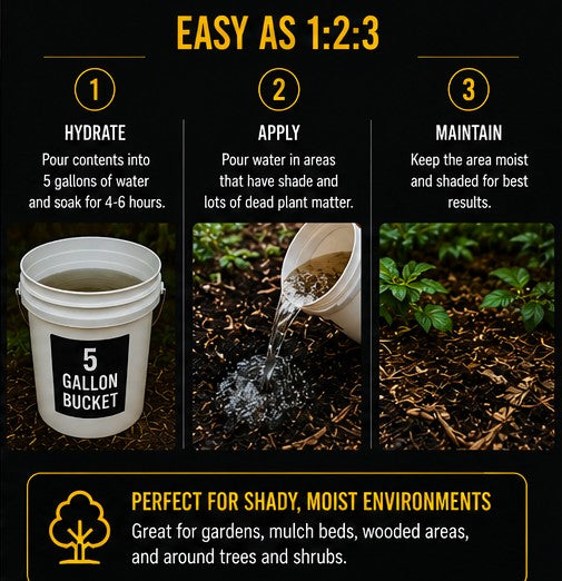 Yellow Morel & Wine Cap Mushroom Spawn Bundle | Outdoor Gourmet Mushroom Growing Kit