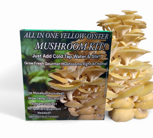 Yellow Oyster Kit & Pink Oyster Mushroom Grow Sticks | Home Mushroom & Garden Bundle