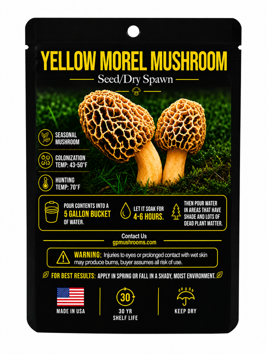 Yellow Morel Mushroom Seed/Dry Spawn Bundles