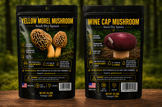 Yellow Morel & Wine Cap Mushroom Spawn Bundle | Outdoor Gourmet Mushroom Growing Kit