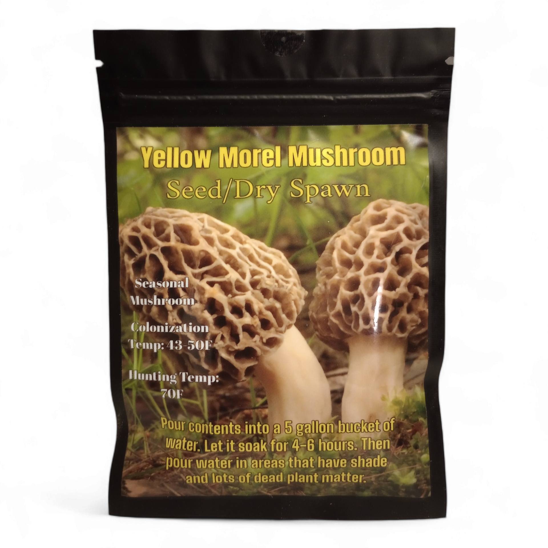Yellow Morel Mushroom Seed/Dry Spawn (Bulk Pricing 10pcs) – G.P.