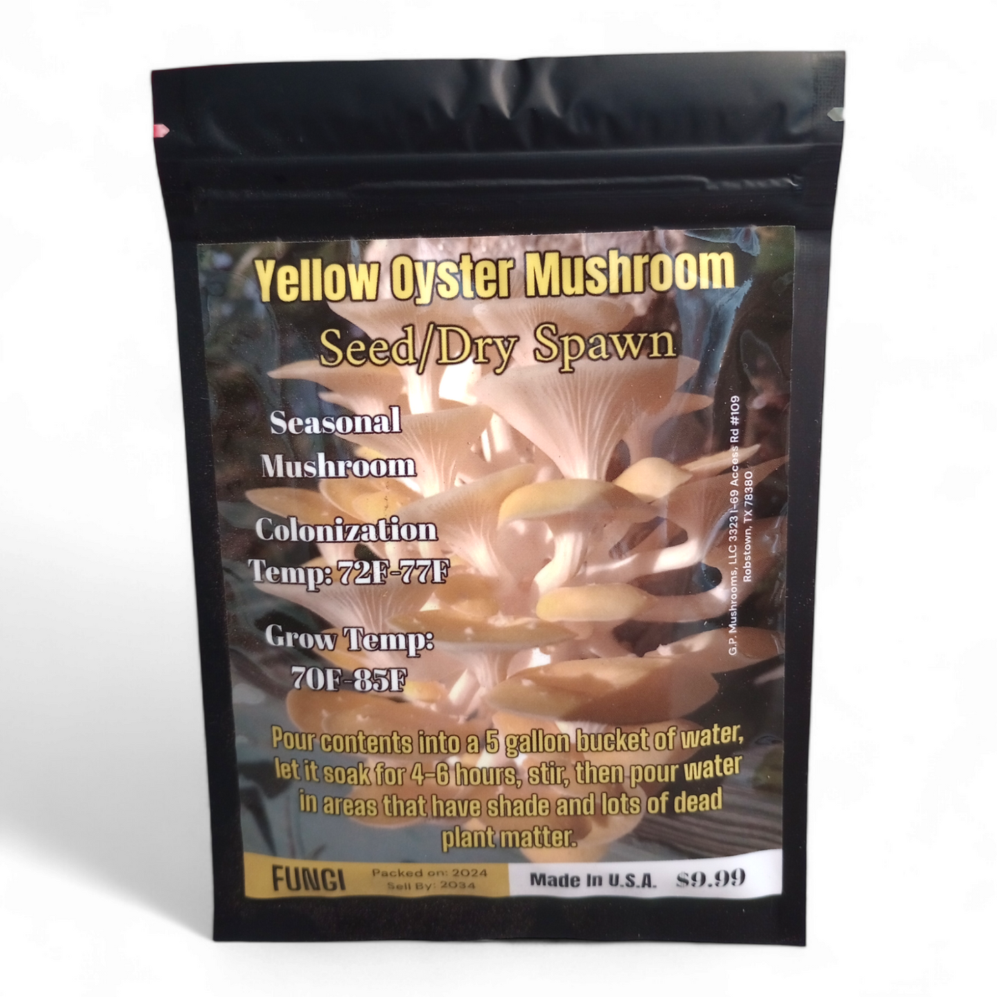 Yellow Oyster Mushroom Seed/Dry Spawn (Bulk Pricing 10pcs)