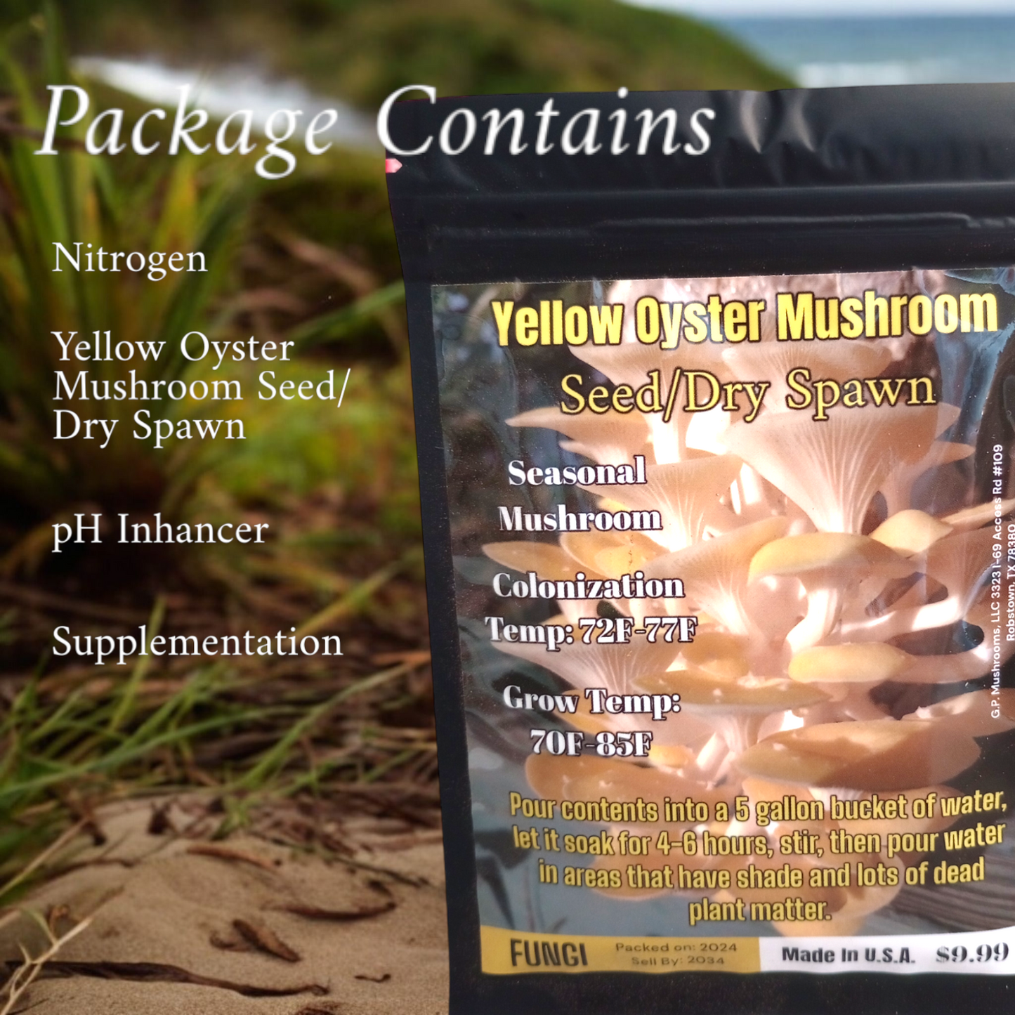Yellow Oyster Mushroom Seed/Dry Spawn (Bulk Pricing 10pcs)