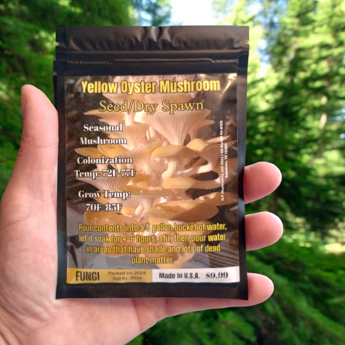 Yellow Oyster Mushroom Seed/Dry Spawn (Bulk Pricing 10pcs)