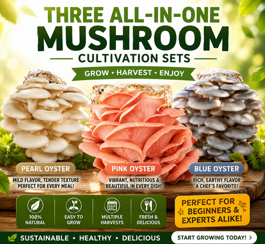 (THREE KITS!) Blue Oyster, Pink Oyster & Florida Oyster All In One 2LB Mushroom Grow Kits