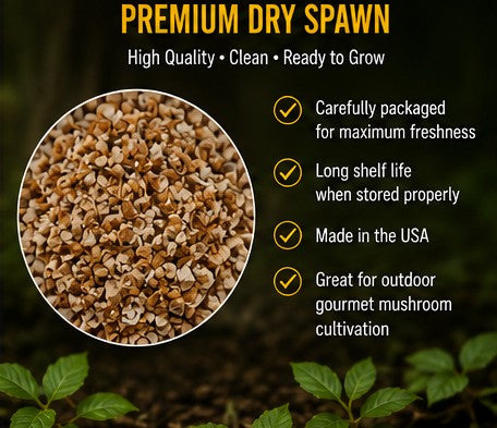 Yellow Morel & Wine Cap Mushroom Spawn Bundle | Outdoor Gourmet Mushroom Growing Kit