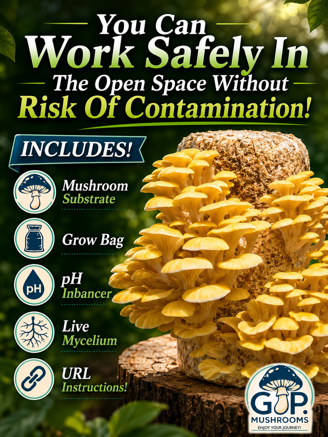 (TWO KITS!) Yellow Oyster & Blue Oyster All In One 5LB Mushroom Grow Kits